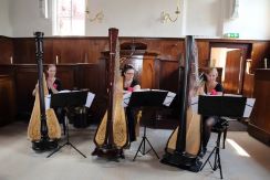 Arpa Animato